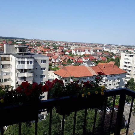 Penthouse Apartament Nufarul Nagyvárad Kültér fotó